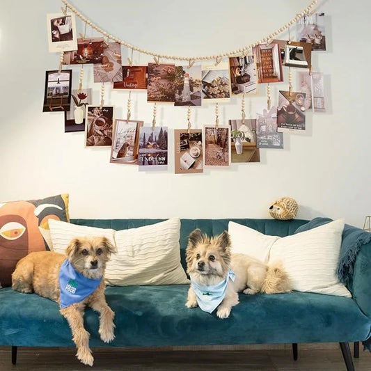 Boho Photo Display Wall Garland